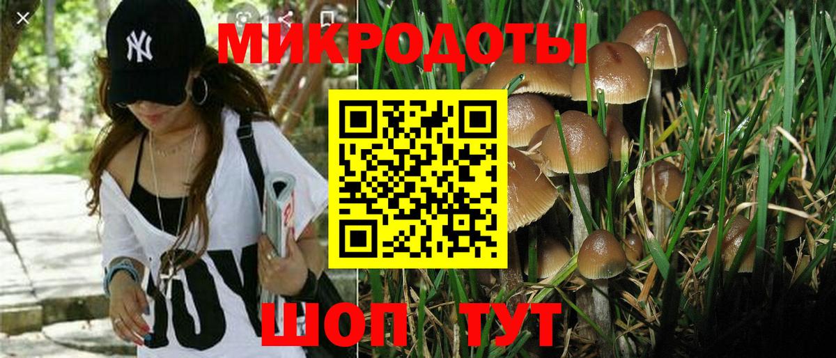 Галлюциногенные грибы Cubensis  Галлюциногенные грибы Magic Shrooms  Вход с VPN  Щёкино 